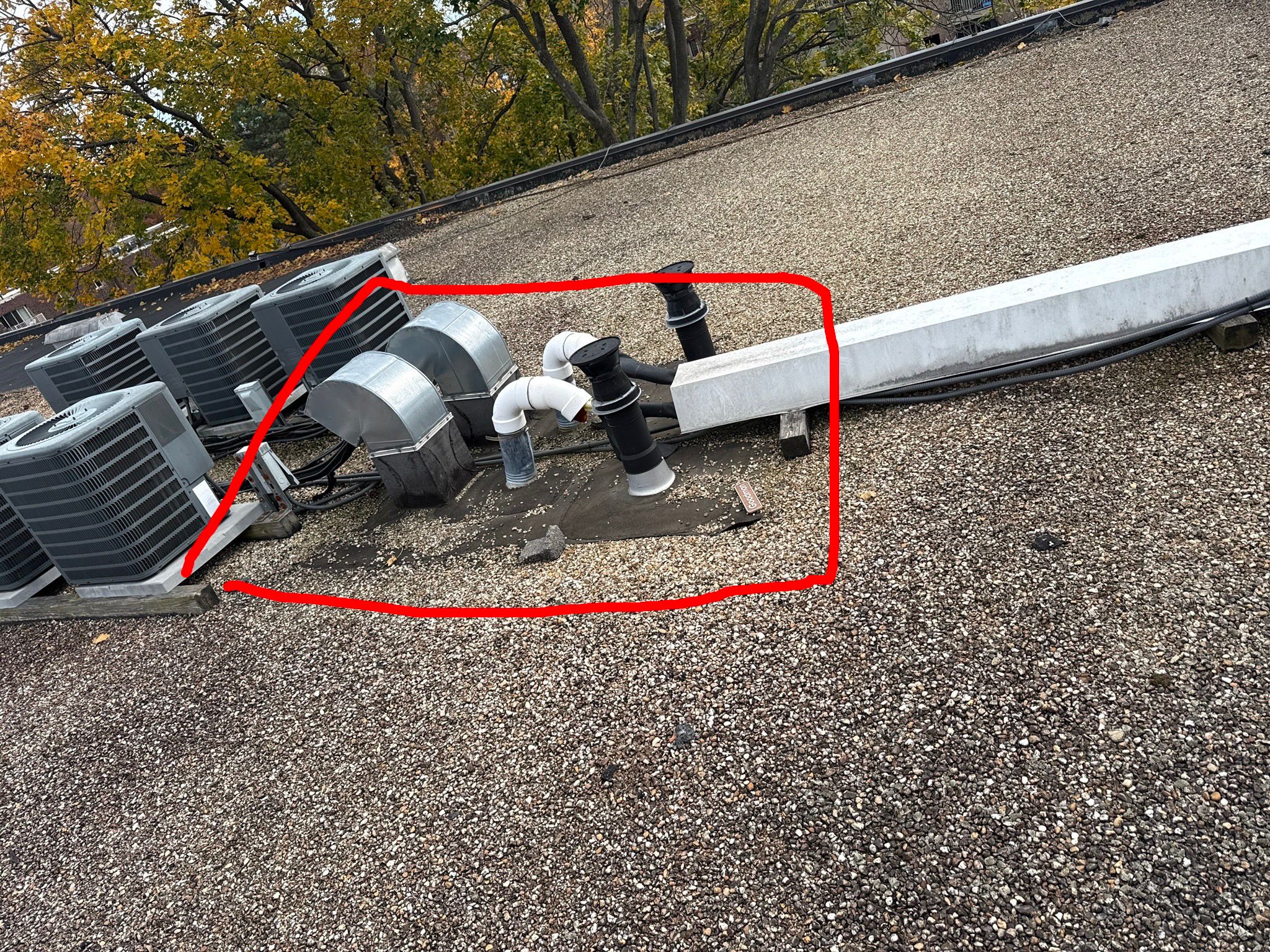 Imagen de WhatsApp 2025-12-15 a las 12.13.14_575e0178